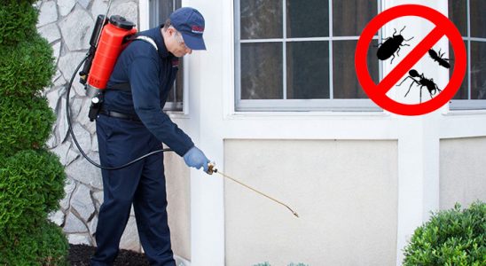 Sarıyahşi Böcek İlaçlama böcek ilaçlama ve haşere kontrolü — ilaclama-tr.com